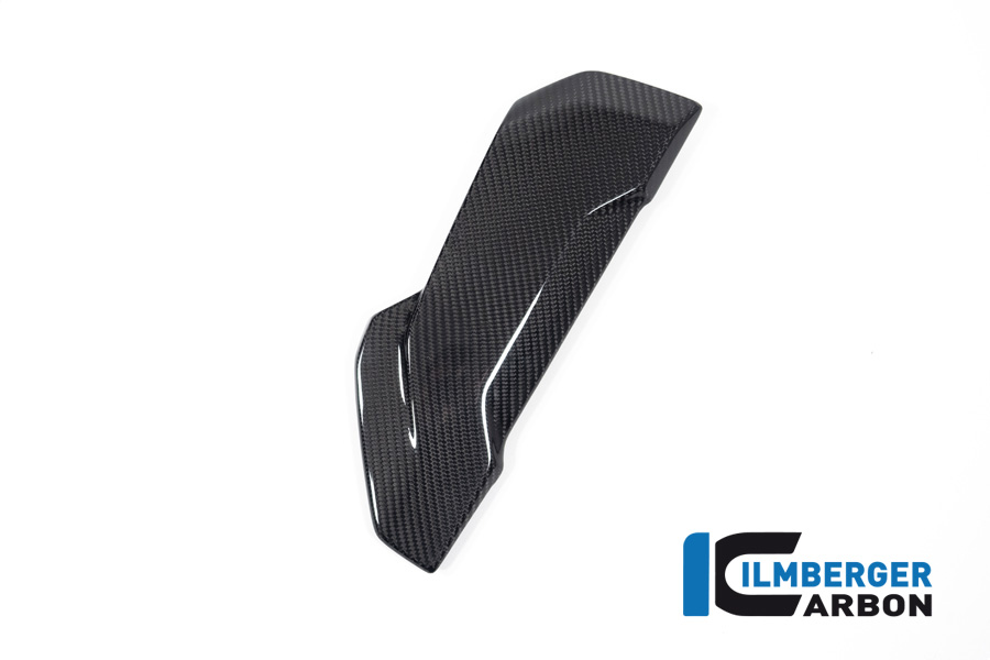 Ilmberger Carbon Soziussitzabdeckung, glänzend, BMW S1000R 2020-, M1000R 2023-