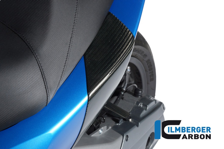 Ilmberger Carbon Sturzpads hinten, Carbon