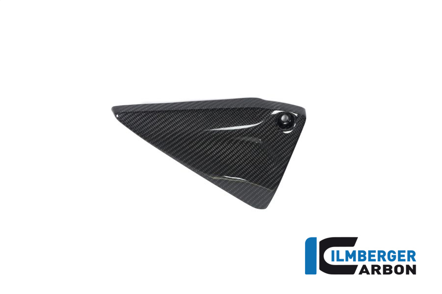 Ilmberger Carbon Rahmendreieckcover links Carbon für BMW R1250GS R1250R R1250RS ab 2019-