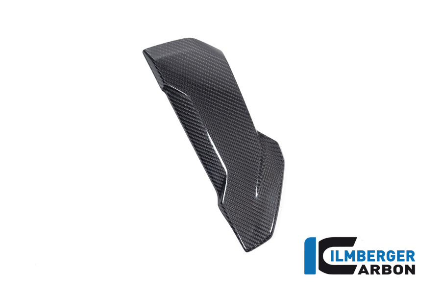 Ilmberger Carbon Seitendeckel Wasserkühlerverkleidung links, glänzend, BMW S1000XR 2020-2023