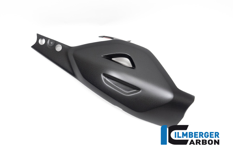 Ilmberger Carbon Schwingenschutz, matt, Ducati Diavel V4 , 2023-