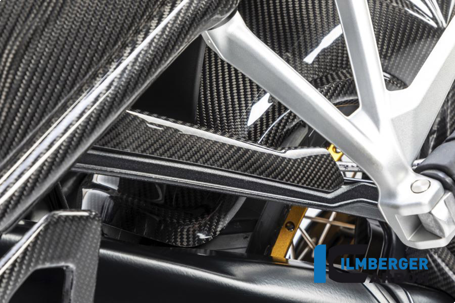 Ilmberger Carbon Bremsleitungsabdeckung Carbon für BMW R1250GS R1250R R1250RS ab 2019-