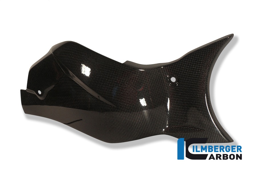 Ilmberger Carbon Schwingenabdeckung / Kettenschutz, Carbon