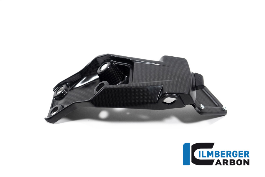 Ilmberger Carbon Kennzeichenträger, matt, Ducati Multistrada V4 2020-