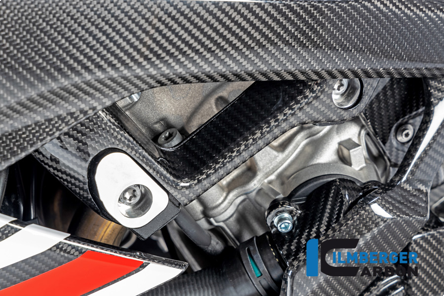 Ilmberger Carbon Rahmenabdeckung links, Carbon