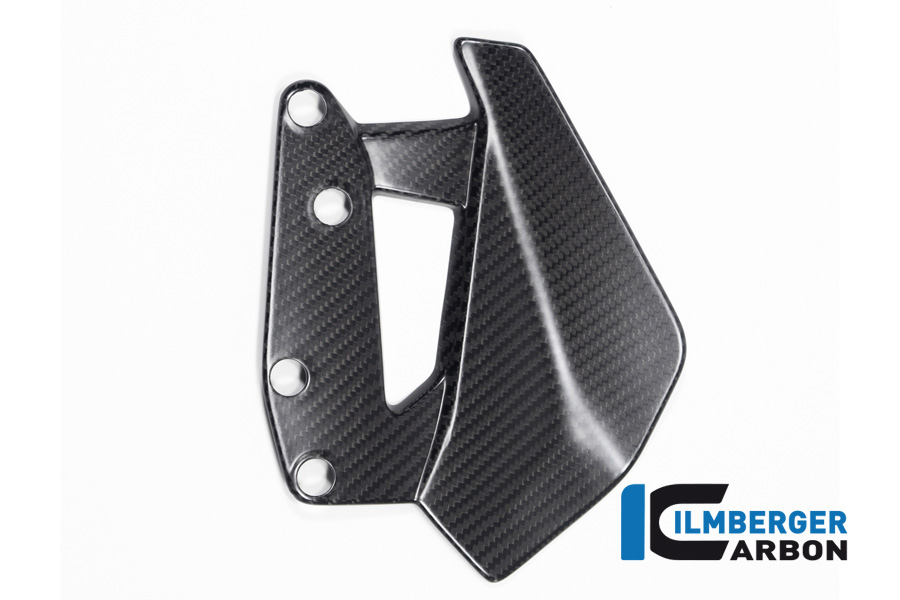 Ilmberger Carbon Windabweiser links, matt, BMW R1300GS 2023-