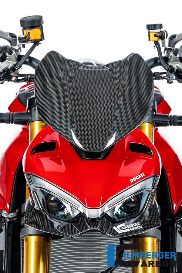Ilmberger Carbon Verkleidungsoberteil unten glanz für Ducati Streetfighter V4 V2 2020-