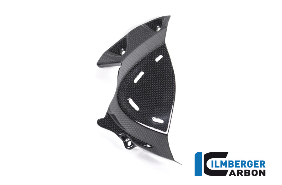Ilmberger Carbon Ritzelabdeckung , glänzend Ducati Monster 1200, 1200S 2017-