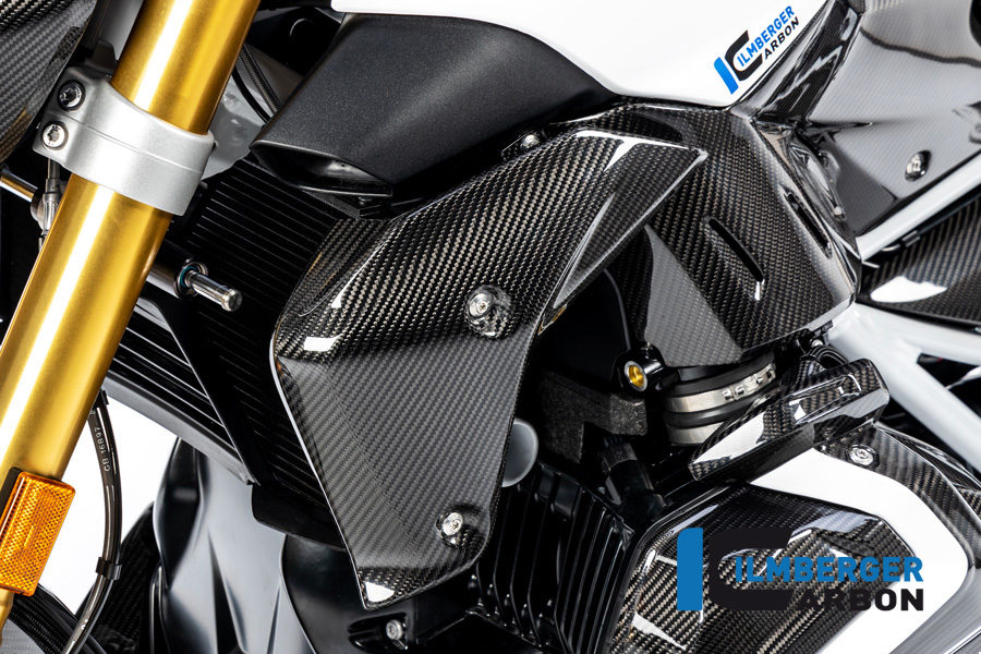Wasserkühlerabdeckung links Carbon BMW R 1250 R (LC) 2019