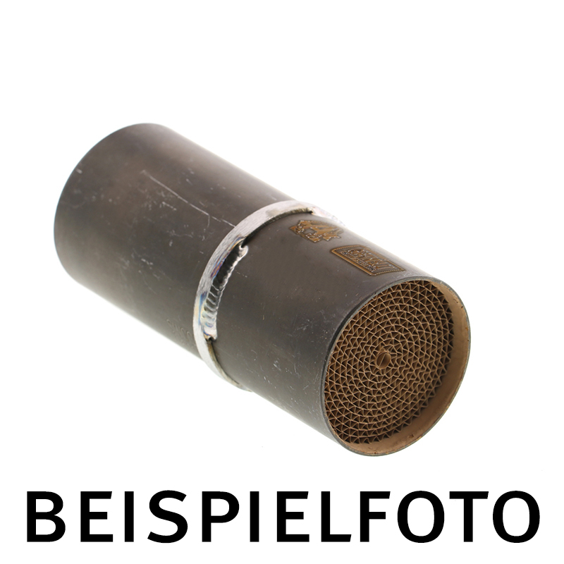 GIANNELLI Einschub-Katalysator GIANNELLI Einschub-Katalysator