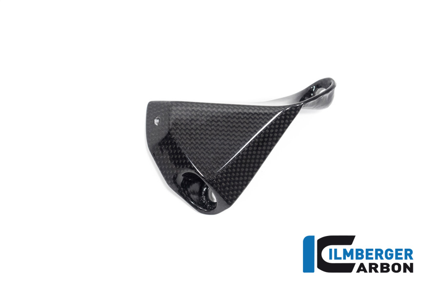 Ilmberger Carbon Verkleidungsunterteil links glanz für Ducati Streetfighter V4 2020-