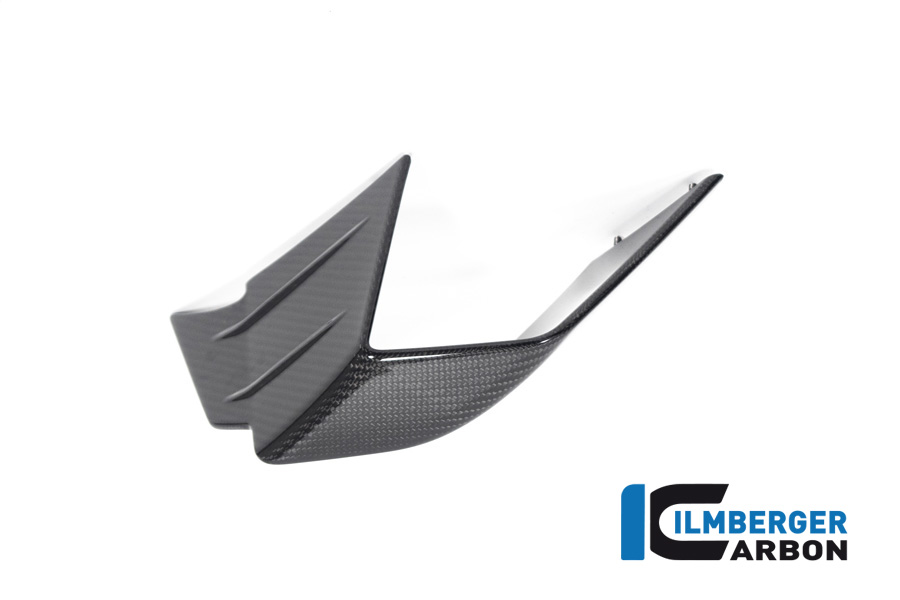 Verkleidungswinglet links aus Carbon für BMW M1000RR ab Modelljahr 2020-