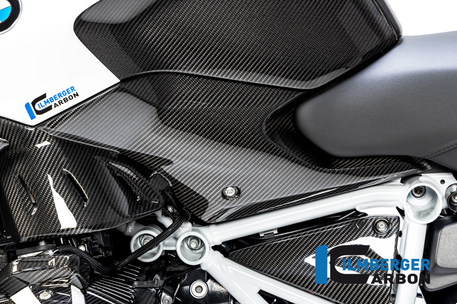 Seitendeckel unterm Tank links Carbon für BMW R 1250 R (LC) 2019