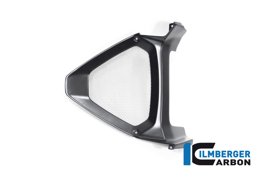 Ilmberger Carbon Motorspoilermittelteil / Ölkühlereinlass, matt, Ducati Diavel 1260 , 2019-