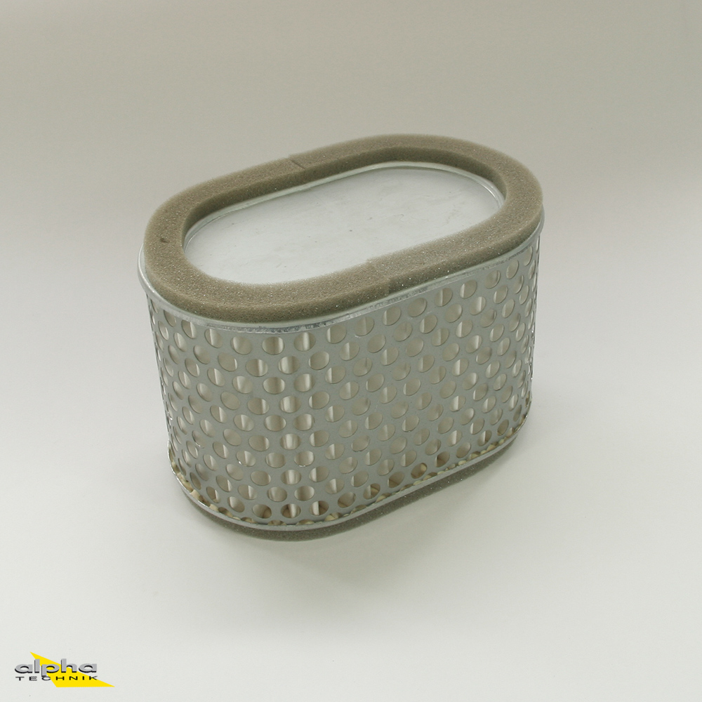 Fuji Luftfilter fürSuzuki TL 1000 S