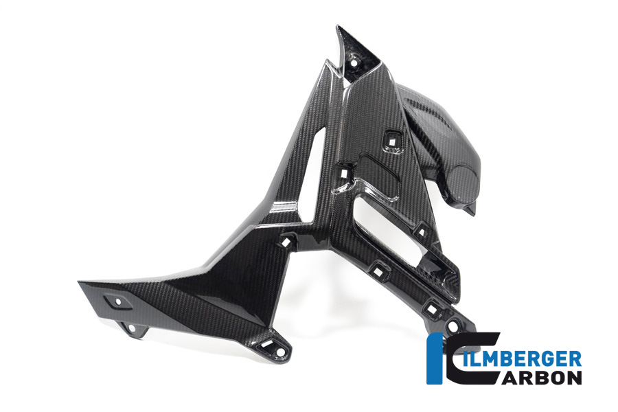 Ilmberger Carbon Wasserkühlerabdeckung links, glänzend, BMW S1000R 2021-