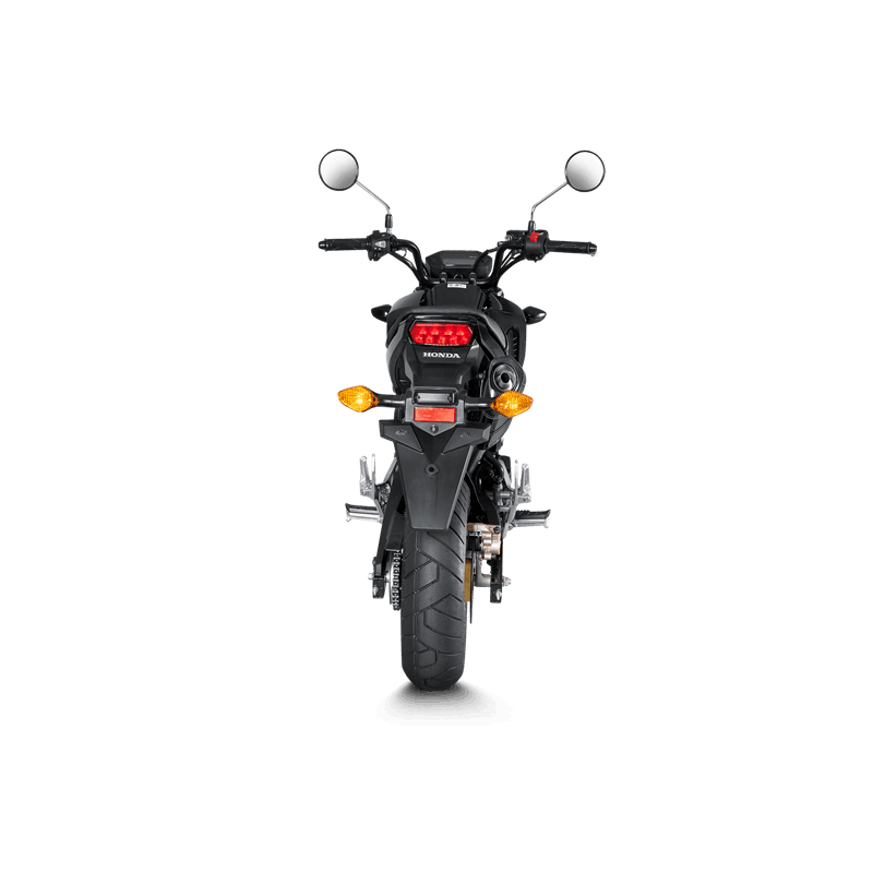 Akrapovic Slip-On Line (Carbon) Auspuff für Honda MSX125 / Grom 2013-2015