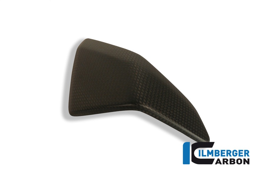 Ilmberger Carbon Seitenverkleidungseinsatz links, Carbon