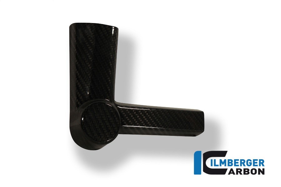 Ilmberger Carbon Sturzpad am Rahmen links, Carbon