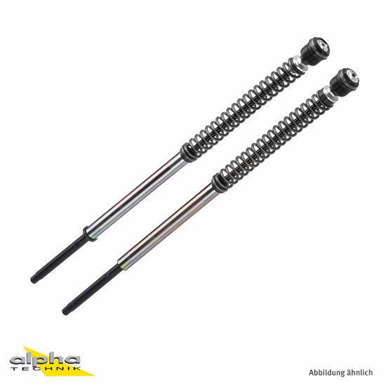BITUBO JBH Gabeldämpfer-Kit für BMW RnineT 13-20