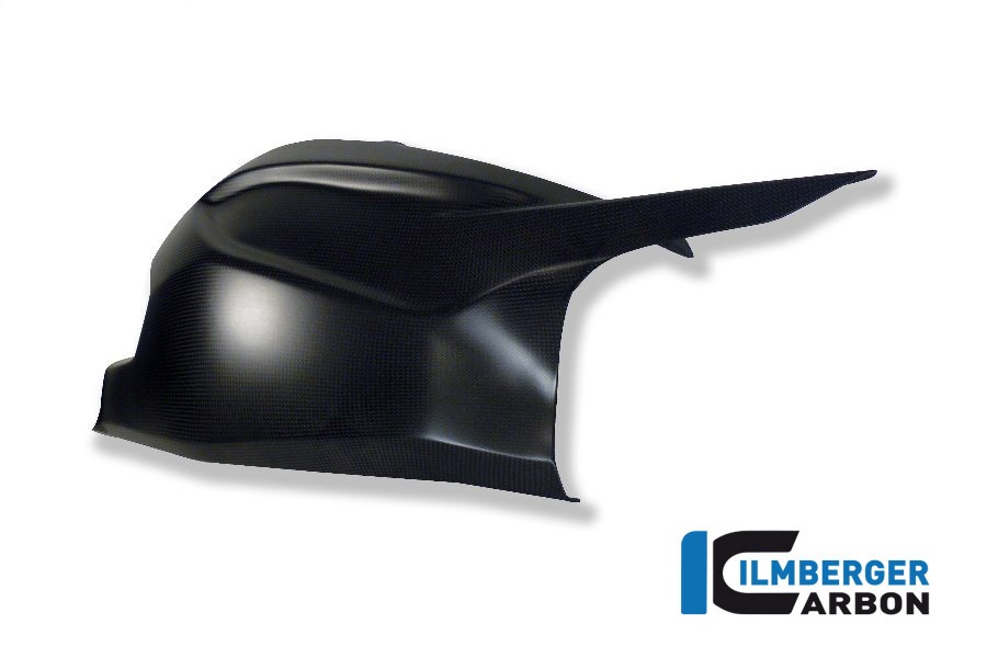 Ilmberger Carbon Schwingen- / Kettenschutz oben, Carbon