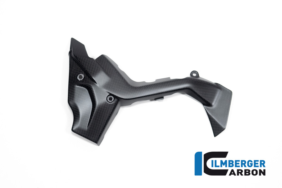 Ilmberger Carbon Ritzelabdeckung, matt, Ducati Diavel V4 , 2023-
