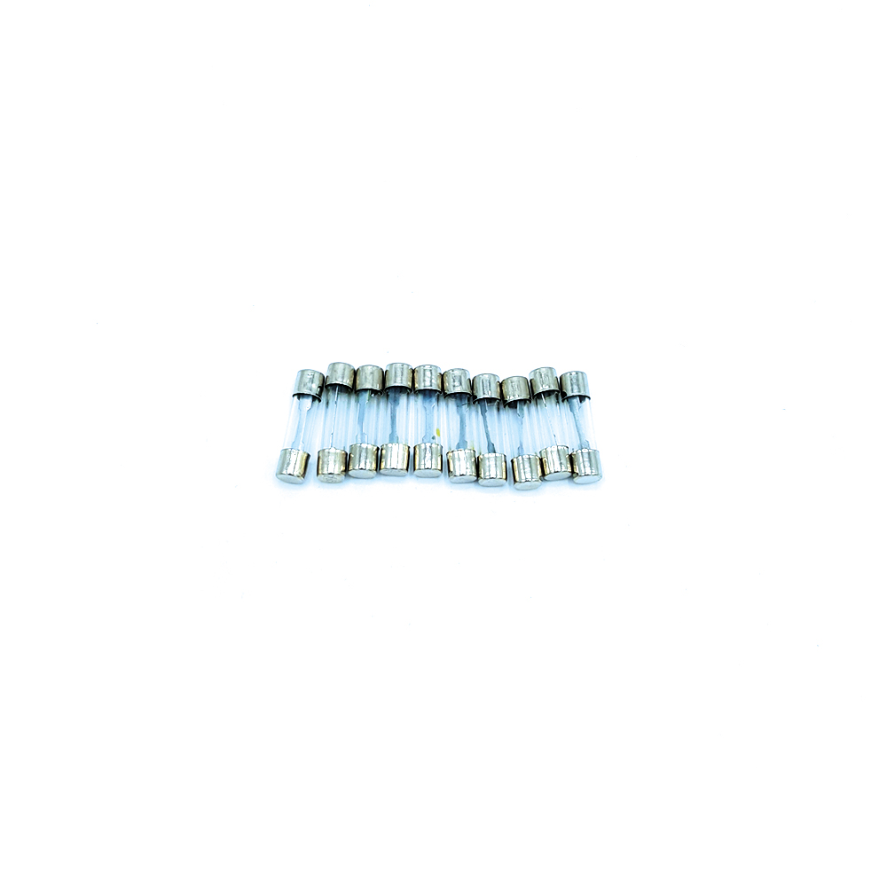 Sicherungen - 10er Pack - 30mm 10A