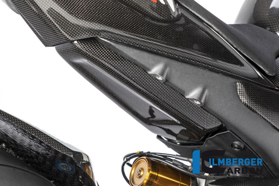 Ilmberger Carbon Tankschutz unten am Rahmenheck glänzend, Ducati Panigale V4 Racing 2019-