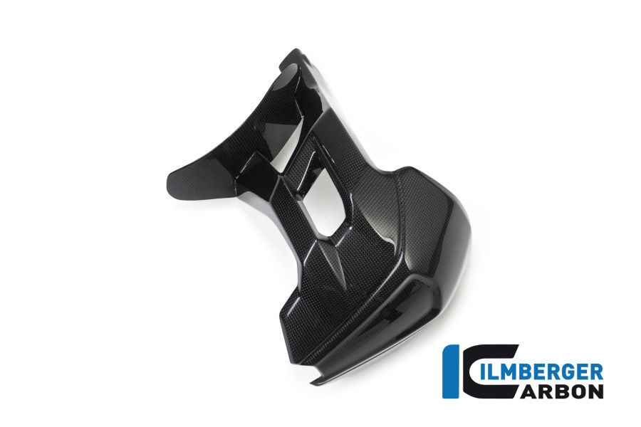 Ilmberger Carbon Spritzschutz hinten glanz