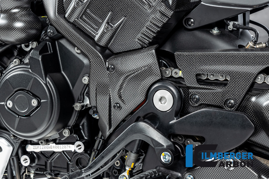 Ilmberger Carbon Ritzelabdeckung, matt, Ducati Diavel V4 , 2023-