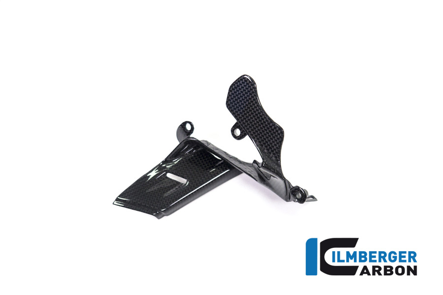 Ilmberger Carbon Instrumenteabdeckung glanz Panigale V4/ V4 S/V4 R