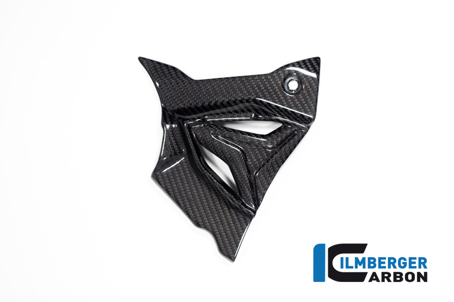 Ilmberger Carbon Ritzelabdeckung, glänzend, BMW S1000XR 2020- und M1000XR, 2X99, 2024