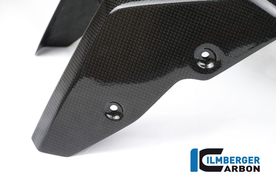 Ilmberger Carbon Kotflügel vorne