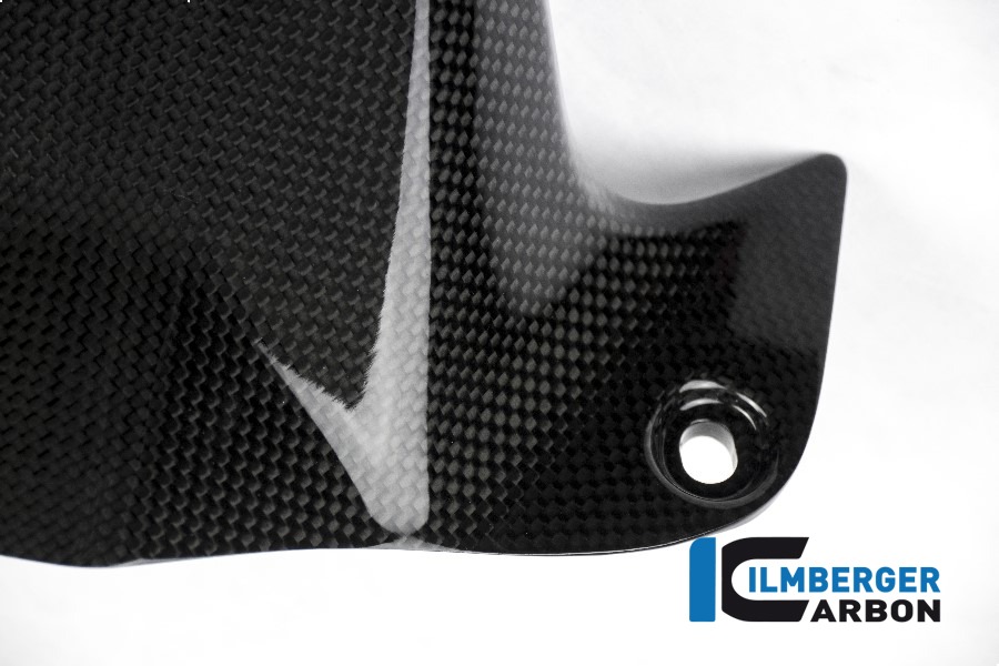 Ilmberger Carbon Kotflügel hinten glanz