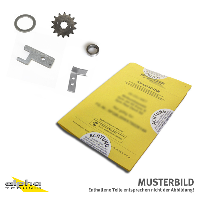 alpha Technik Drosselkit Mofa für Rex/Shenke RS400/RS460, GY
