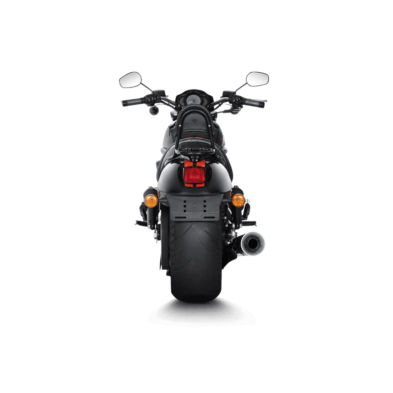 Akrapovic Open Line 10th A.E. Auspuffanlage für Harley-Davidson V-Rod VRSCDX 2012, V-Rod VRSCDX Night Rod 2009-2016, V-Rod VRSCF Muscle 2009-2016