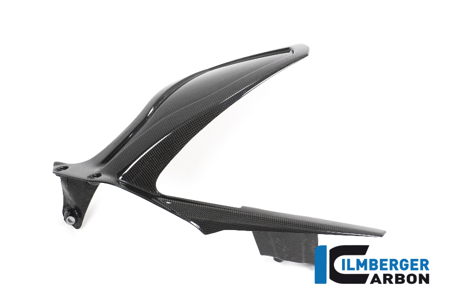 Ilmberger Carbon Kotflügel hinten glanz für Ducati Streetfighter V4 2020-