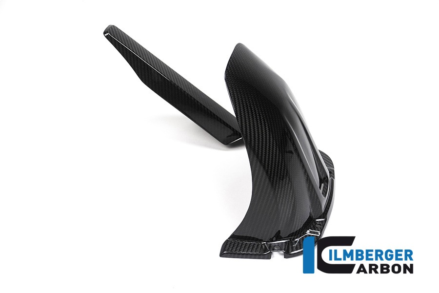 Ilmberger Carbon Kotflügel hinten mit Kettenschutz