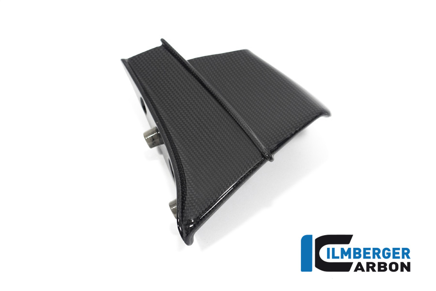 Ilmberger Carbon Winglet links glanz Ducati Panigale V4 R