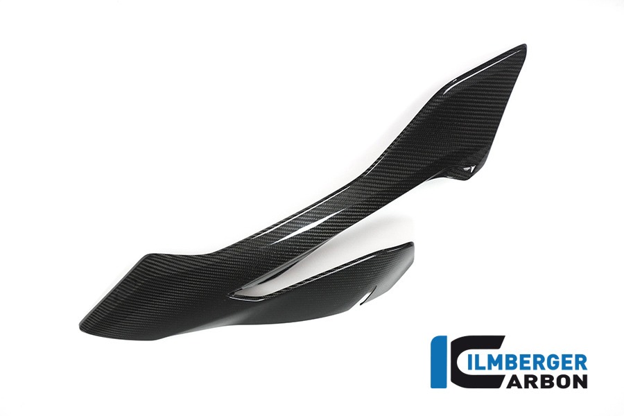 Ilmberger Carbon Verkleidungsseitenteil links