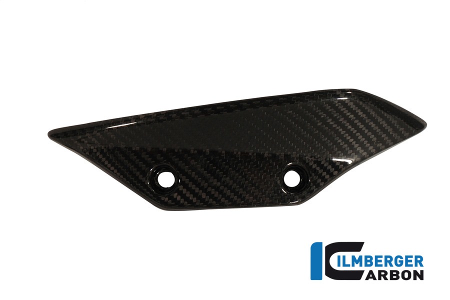 Ilmberger Carbon Verkleidungswinglet links, Carbon